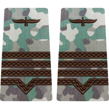 GRADE COMBAT TERESTRU MAISTRU MILITAR CLASA 2 Aviația Română (Forțele Aeriene )